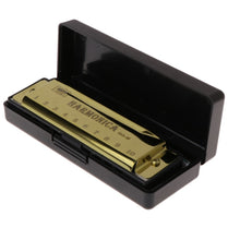 Free shipping 10 Holes Key of C Blues Harmonica Musical Instrument Educational Toy with Case