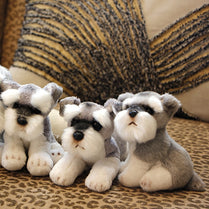 kawaii Schnauzer Dog Plush Toy Small Soft Simulation Kids Stuffed Animal Toys for Children Cute Photo Props Girls Birthday Gift