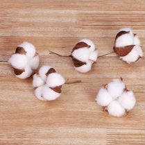 2/5/10 Pieces White cotton head 5cm natural kapok head dried flower decor fo wedding home supplies DIY Artificial flower wreaths