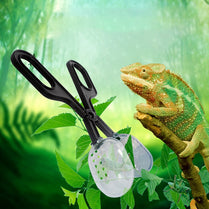 Amphibian supplies reptile clip transparent clip cleaning tool pet reptile tortoise lizard frog spider cleaning clip