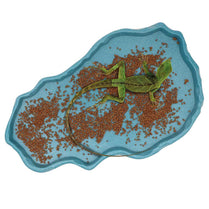Resin Pet Feeder Feeding Dish  Lizards Gecko Reptile Bowl Basin Food Container Turtles Water Dispenser Drinking Supplies